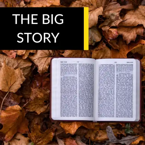 The Big Story