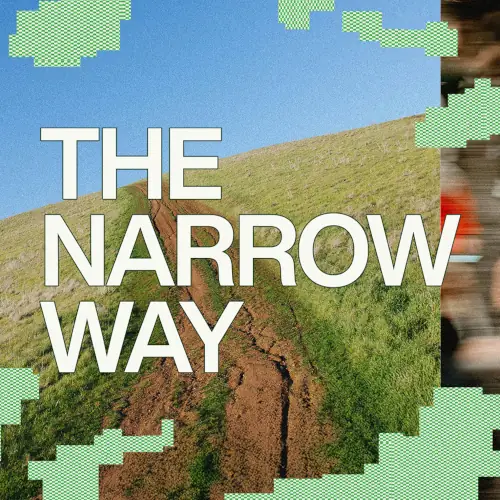 The Narrow Way - Switch