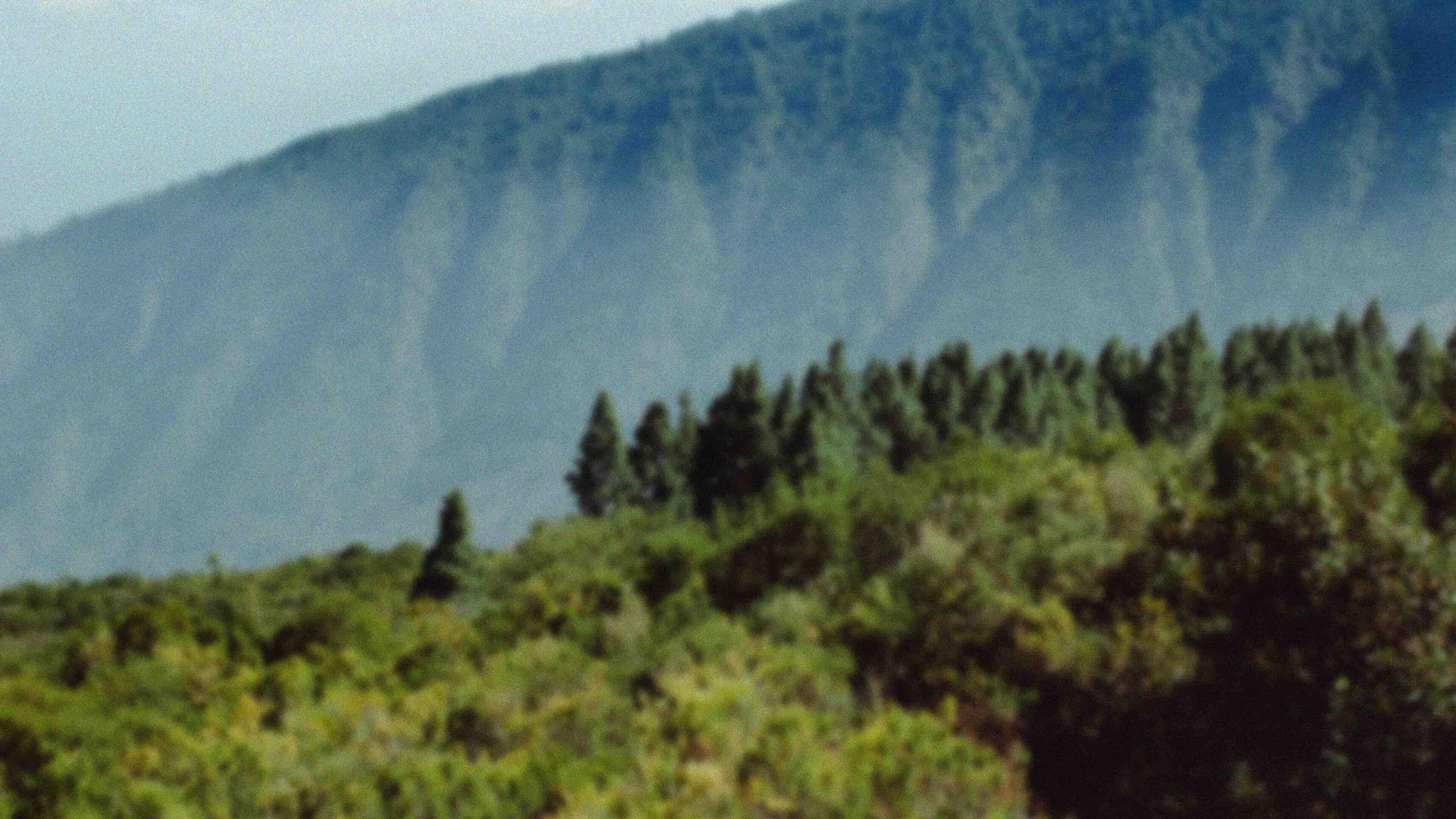 Texture Background 02 - Blurred