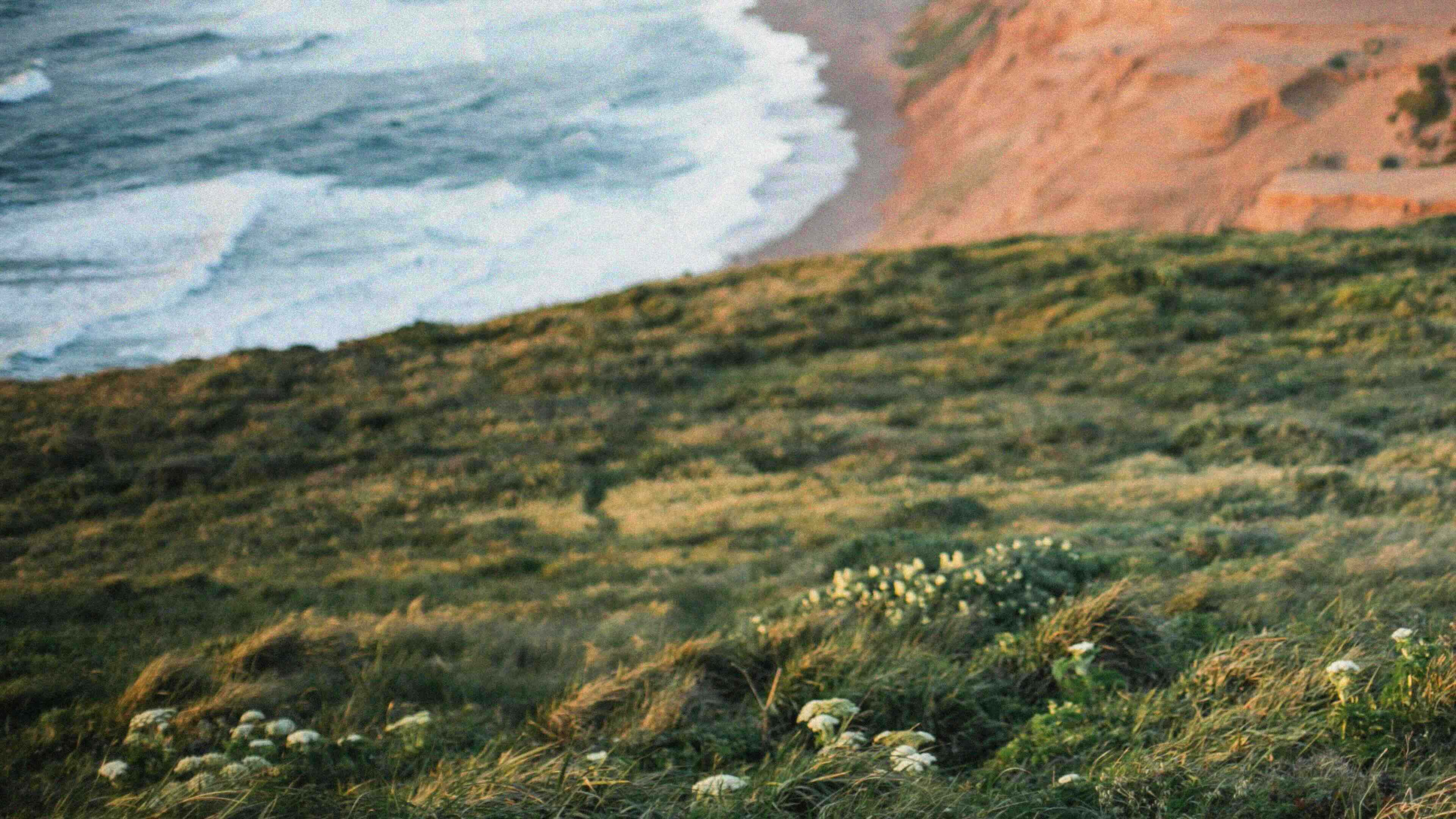 Texture Background 03