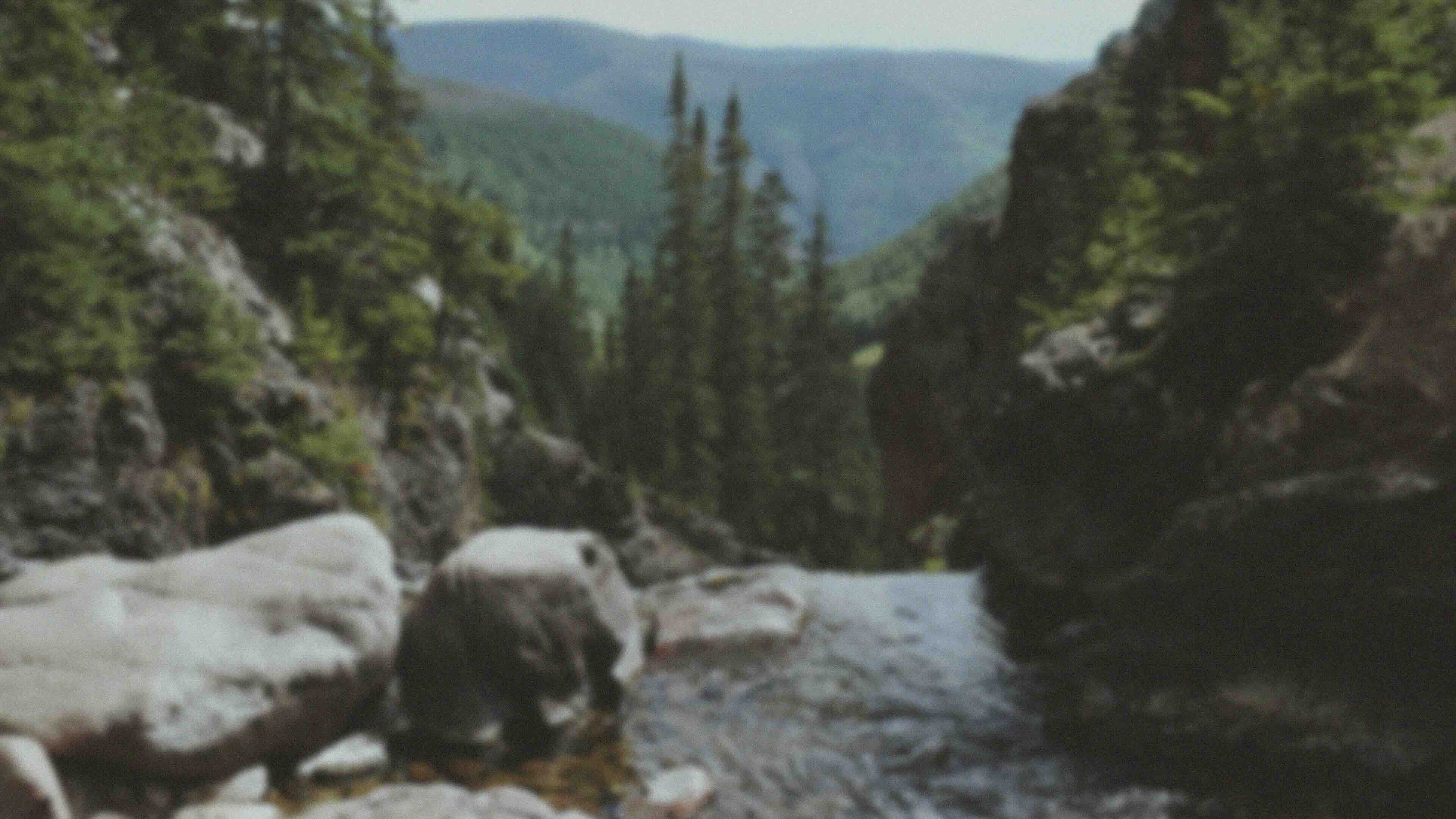 Texture Background 11 - Blurred