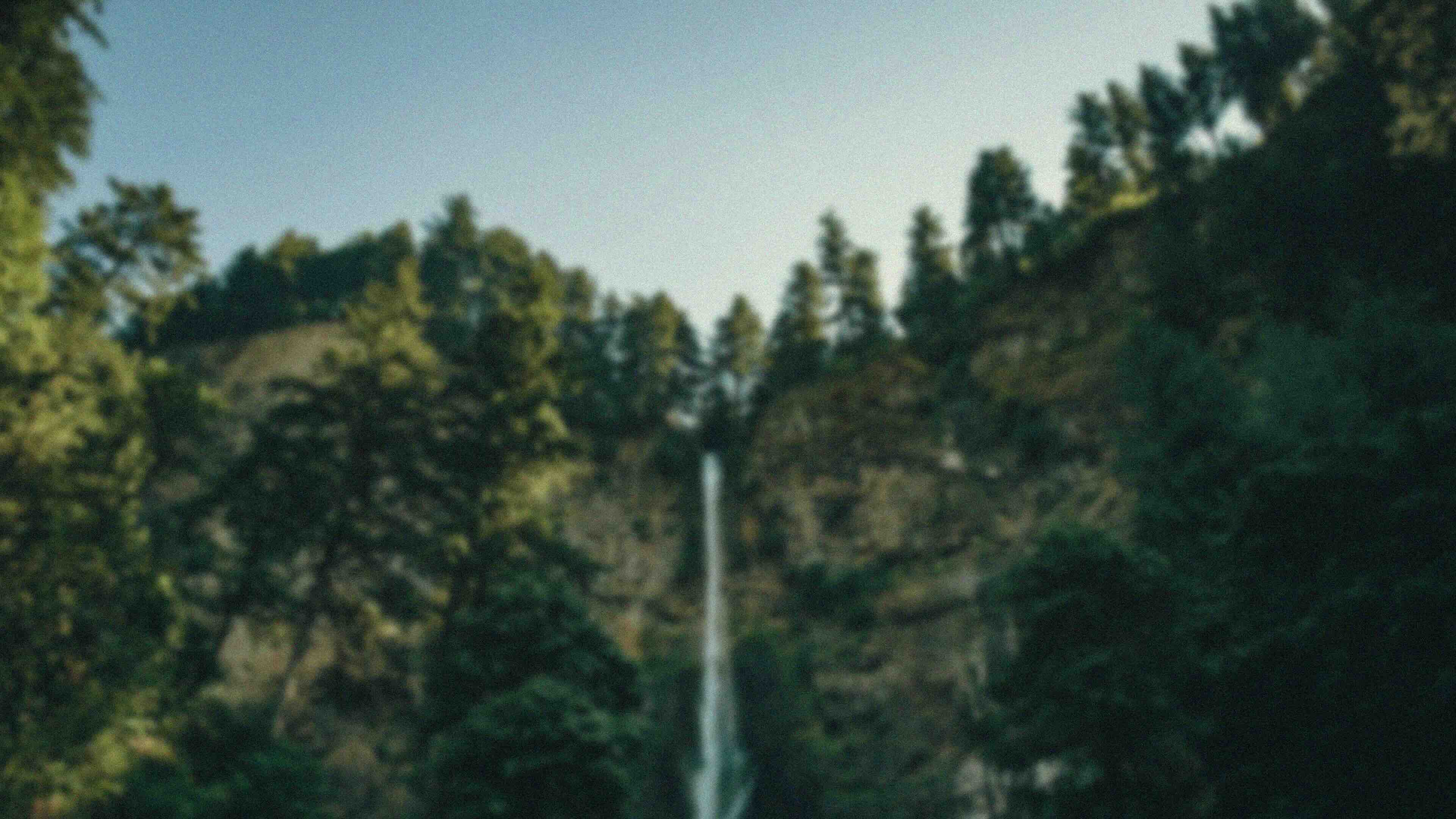 Texture Background 12