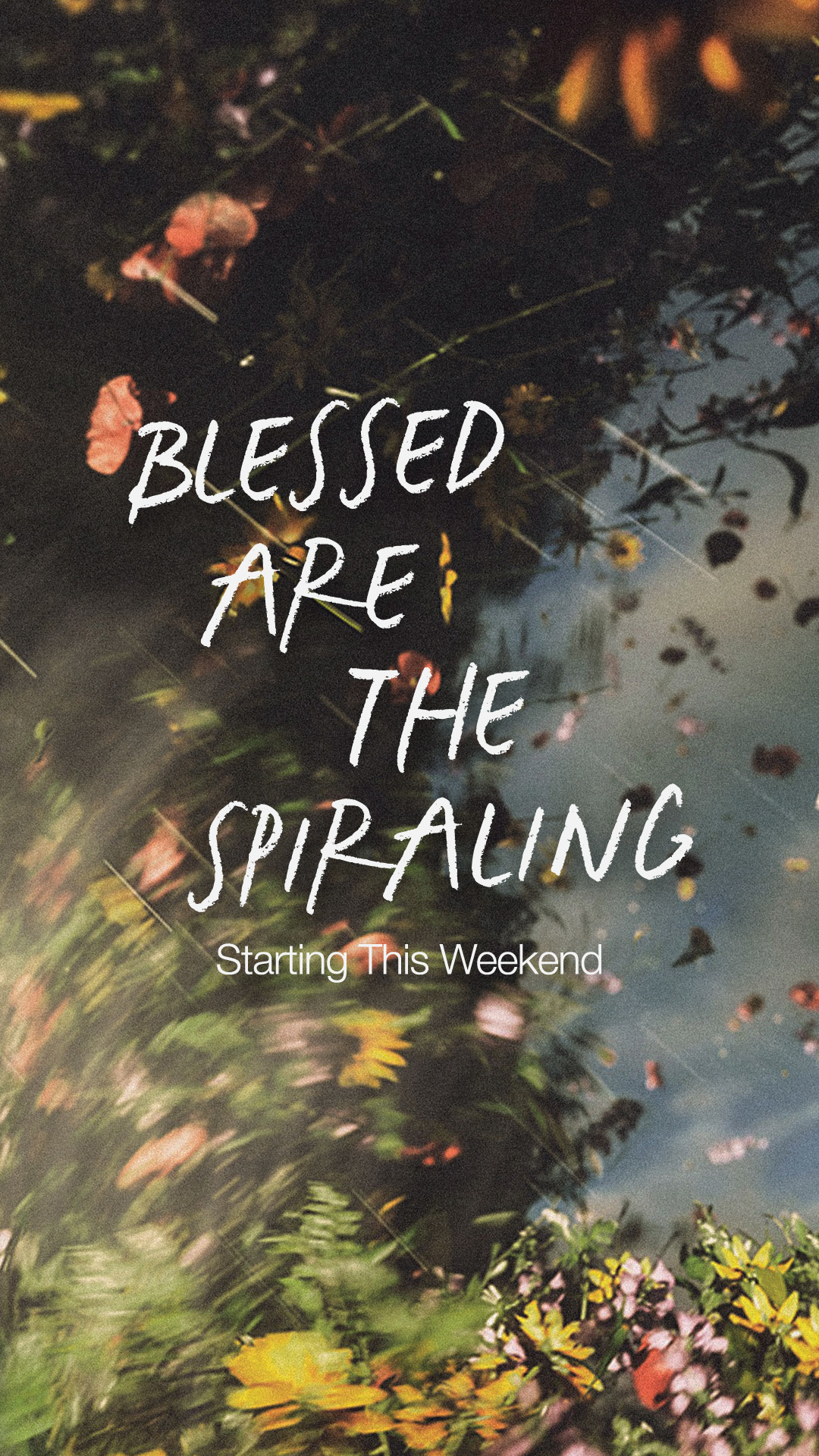 Starting This Weekend 3