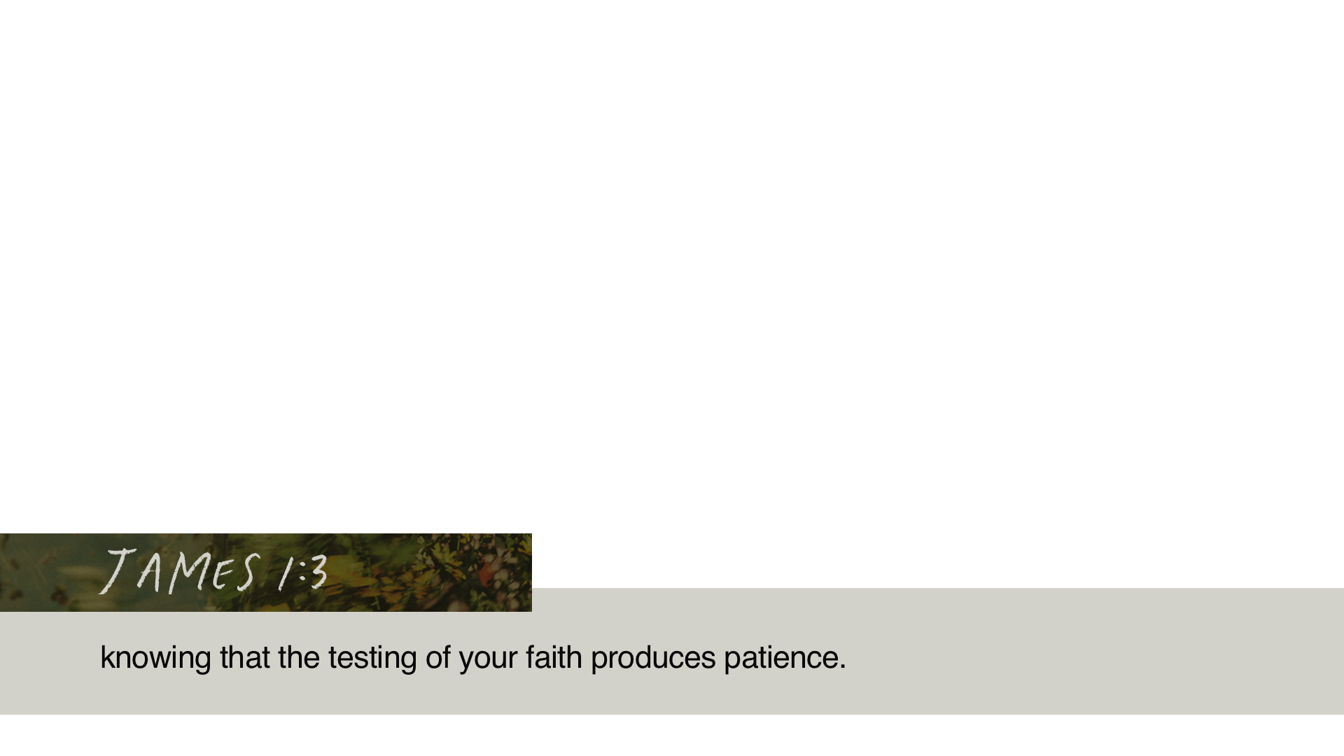 SS Lower - James 1:3