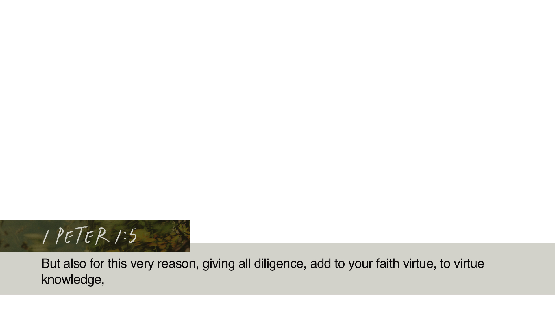 SS Lower - 1 Peter 1:5