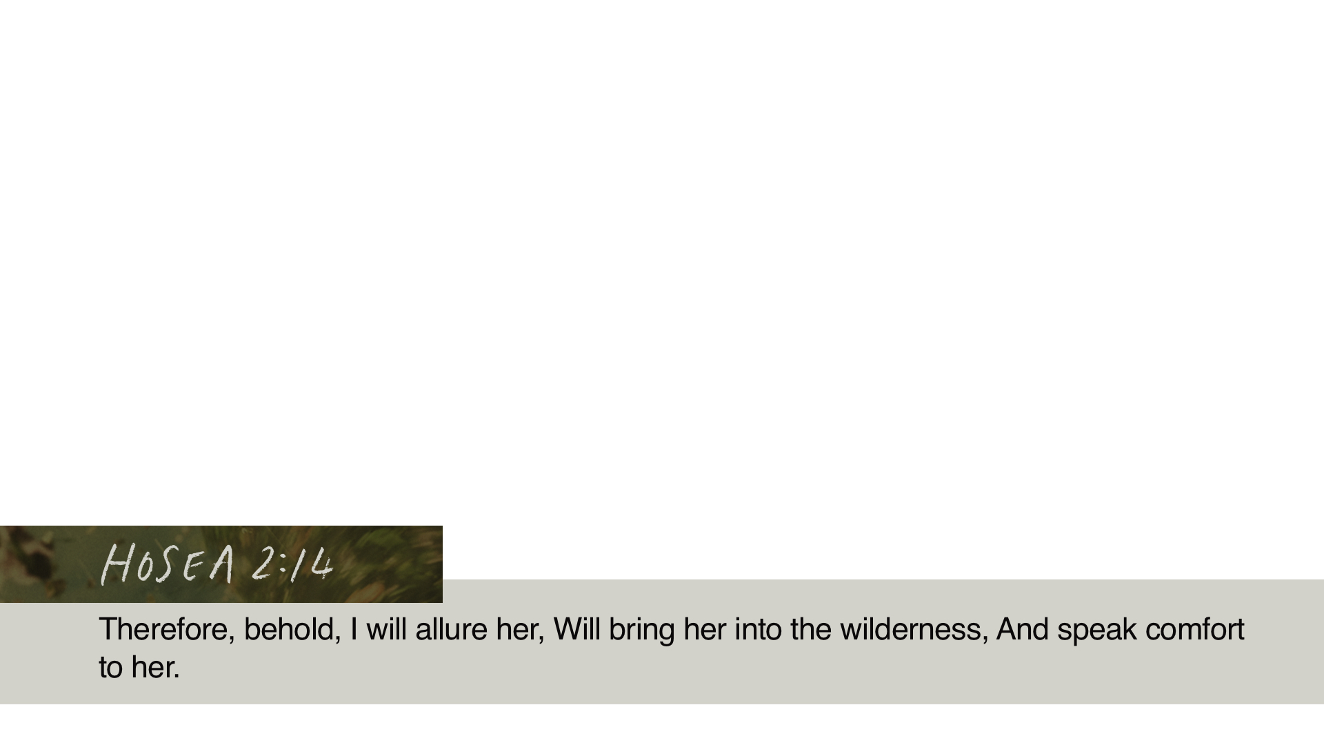 SS Lower - Hosea 2:14
