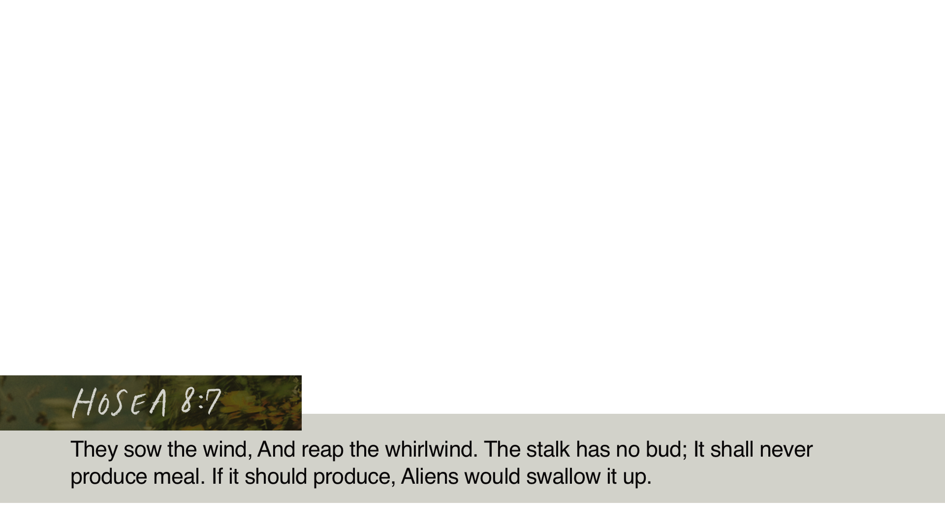 SS Lower - Hosea 8:7