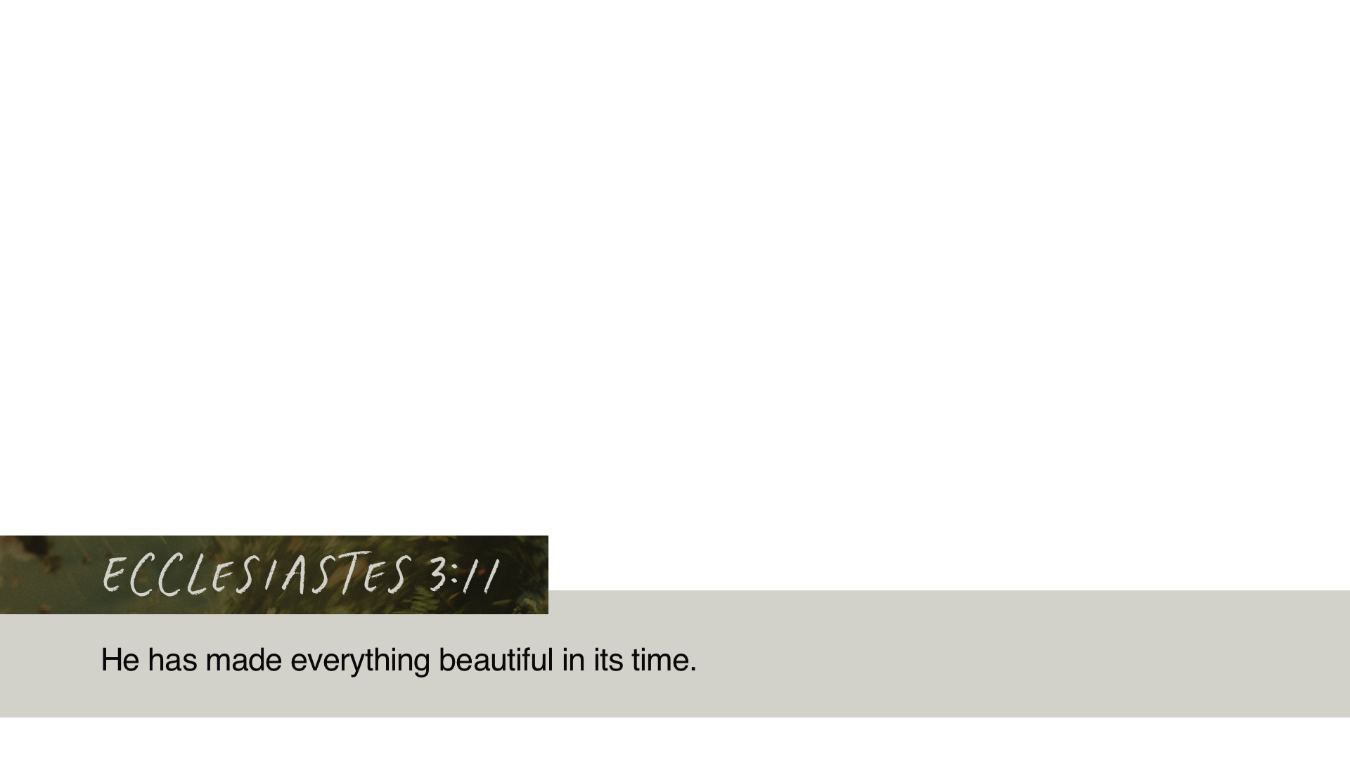 SS Lower - Ecclesiastes 3:11