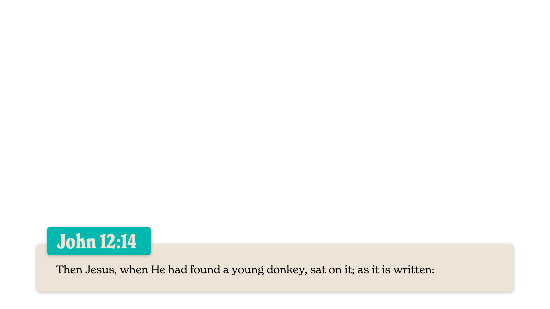 SS Lower - John 12:14