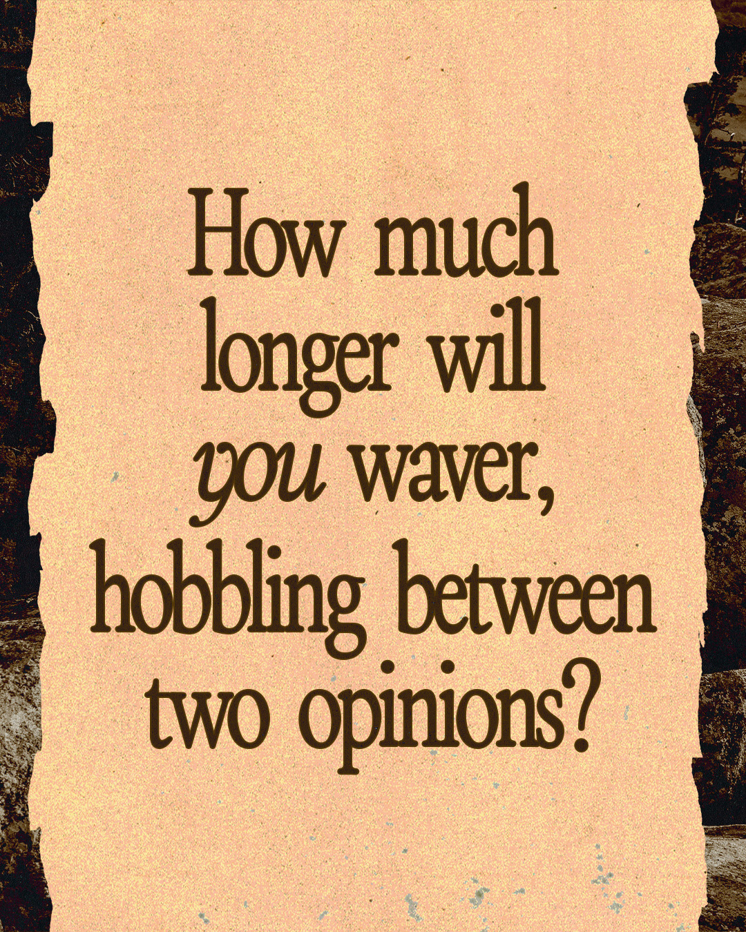Feed Quote 2