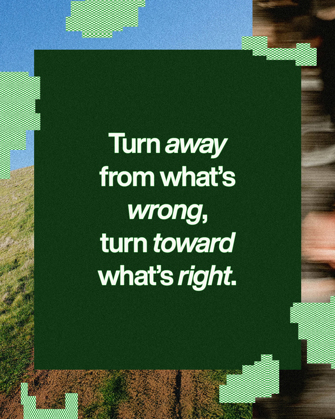 Feed Quote 1