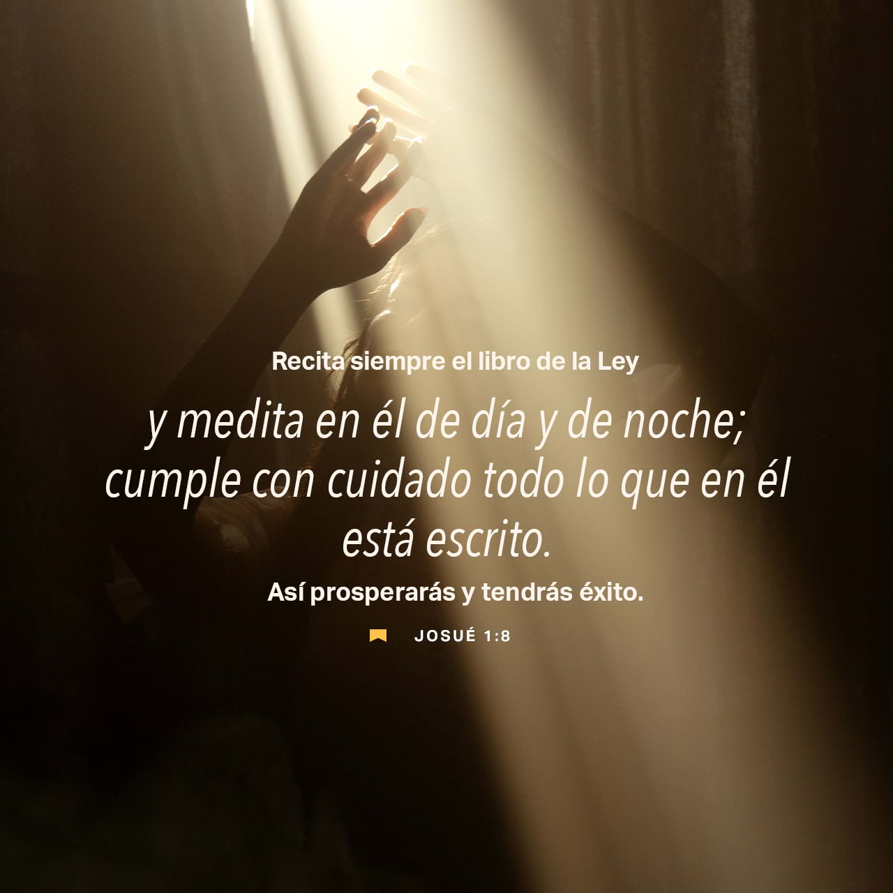 01 de agosto - Plaza