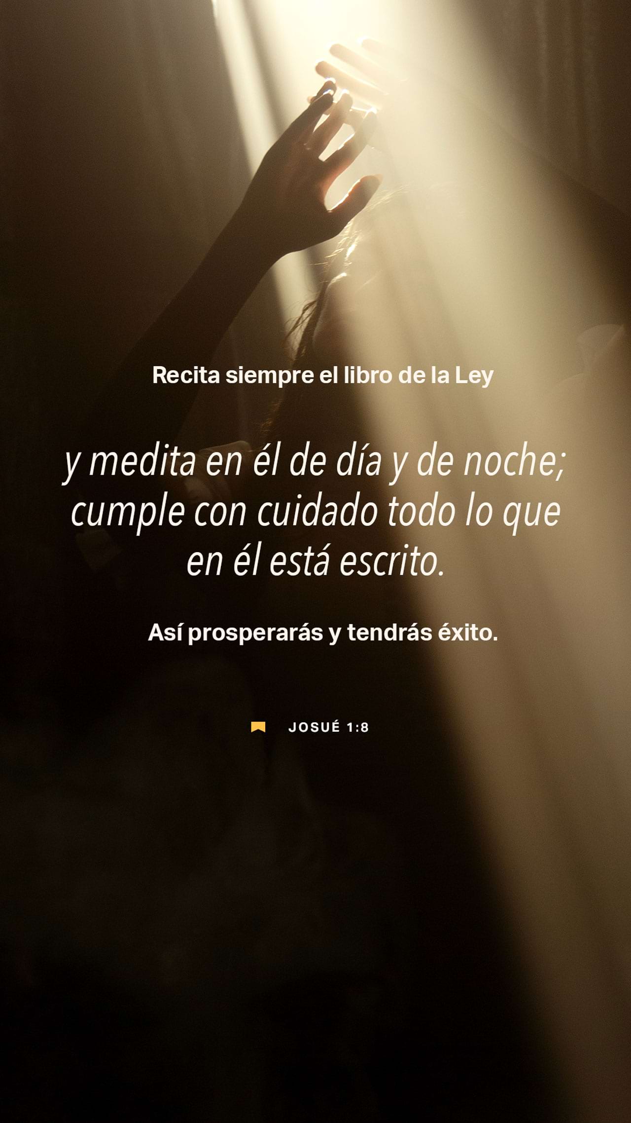 01 de agosto - Vertical