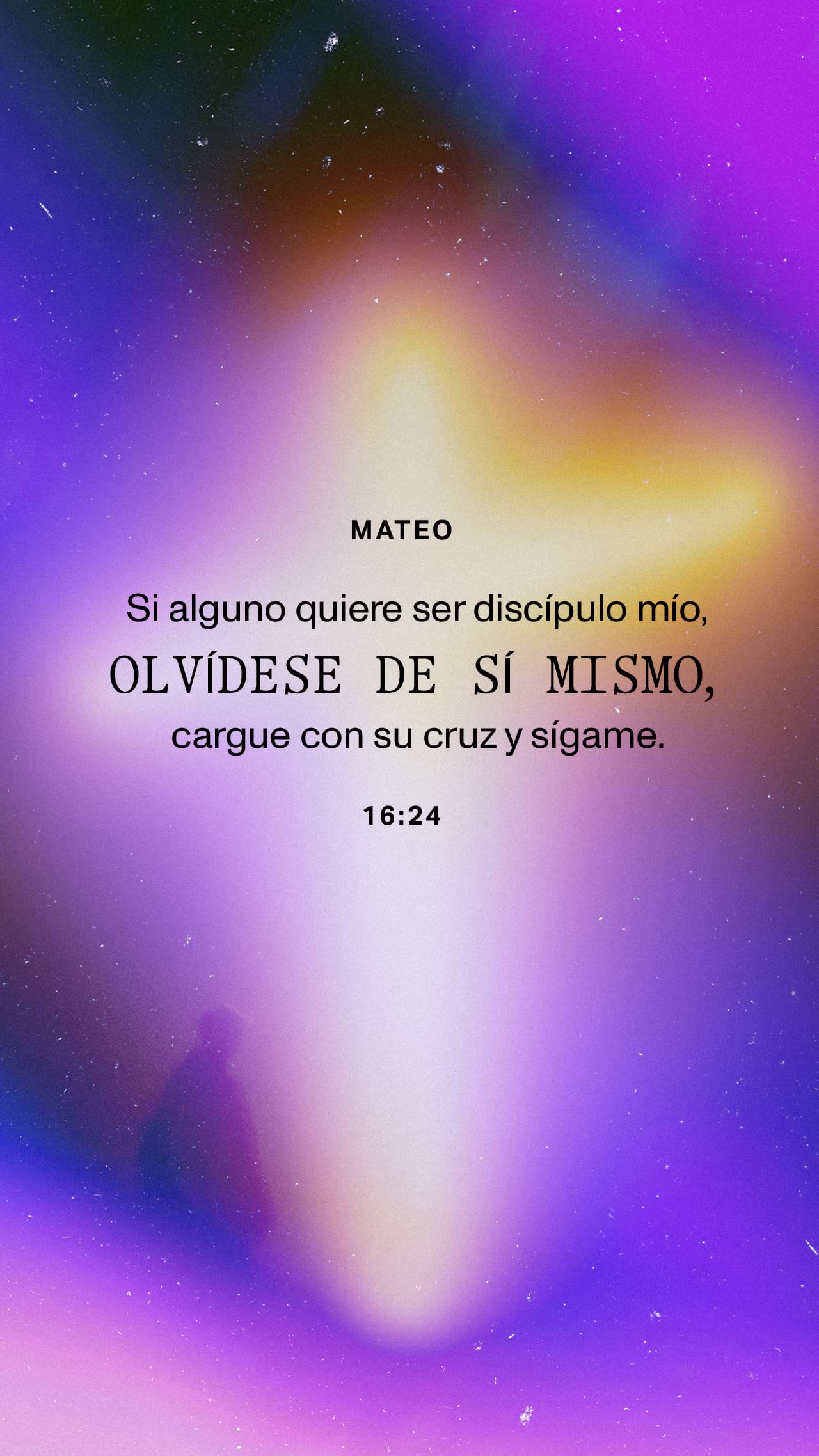 08 de agosto - Vertical