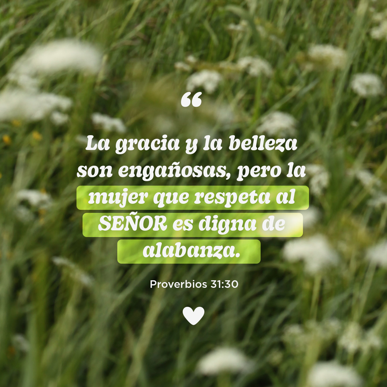 09 de agosto - Plaza