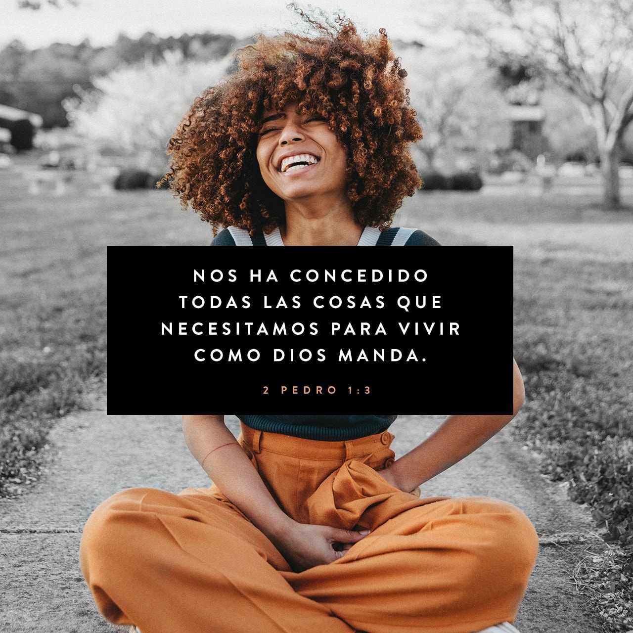 16 de agosto - Plaza