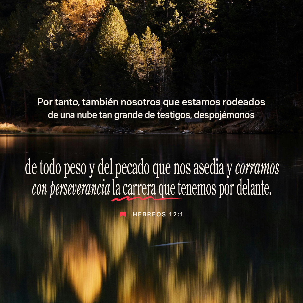 17 de agosto - Plaza