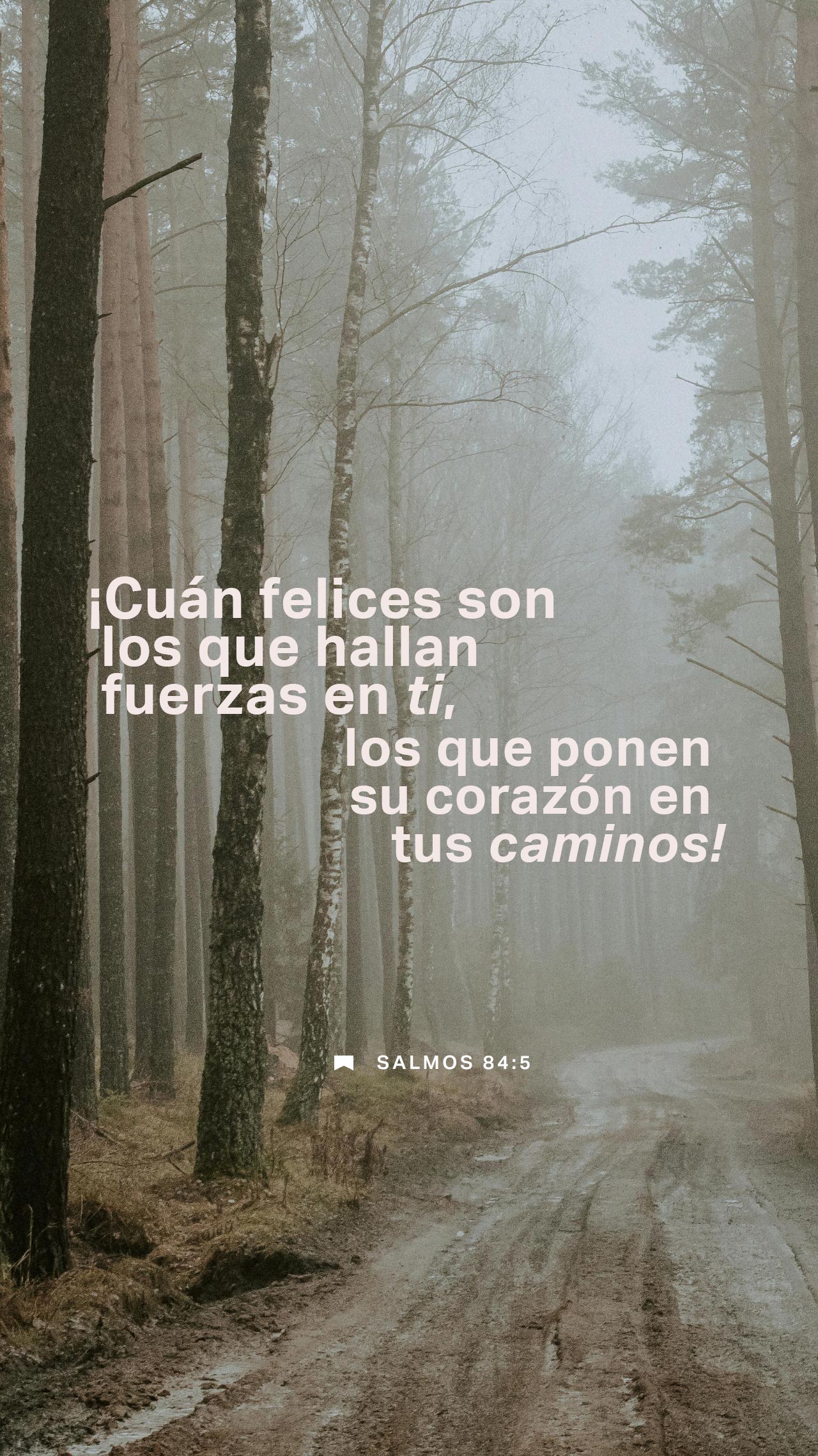 18 de agosto - Vertical