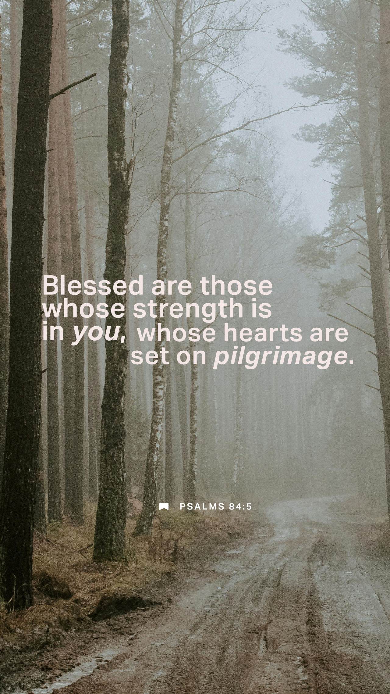 August 18 - Vertical