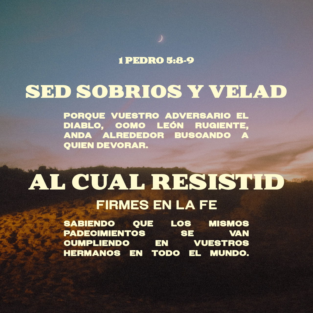 19 de agosto - Plaza