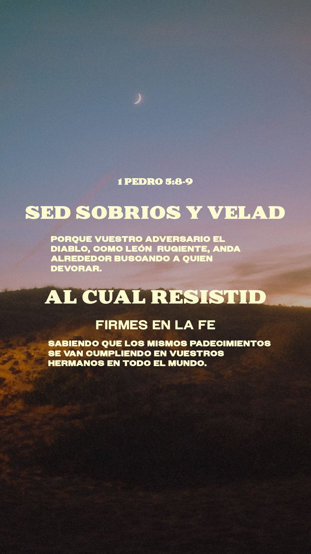 19 de agosto - Vertical