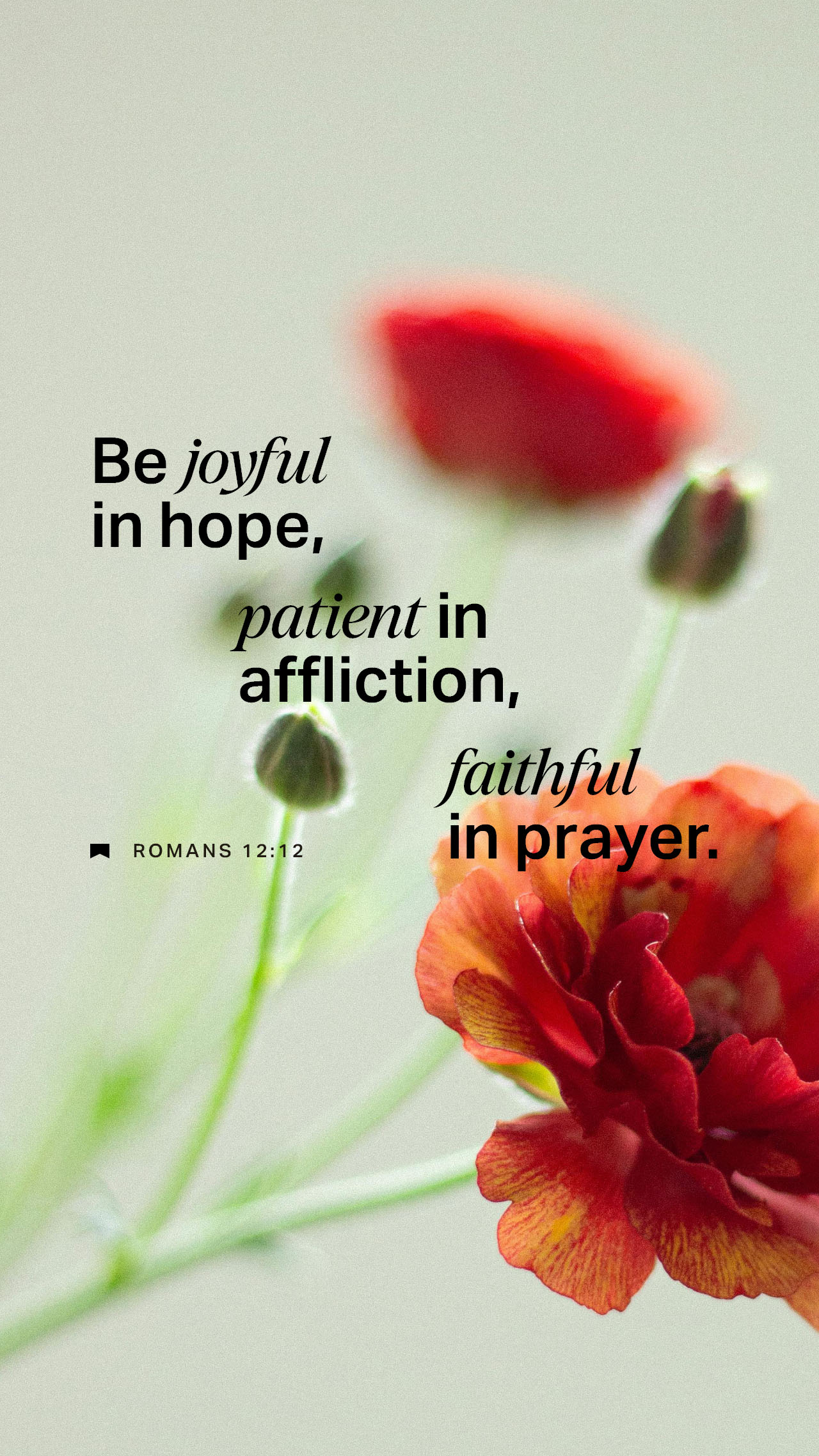 August 23 - Vertical