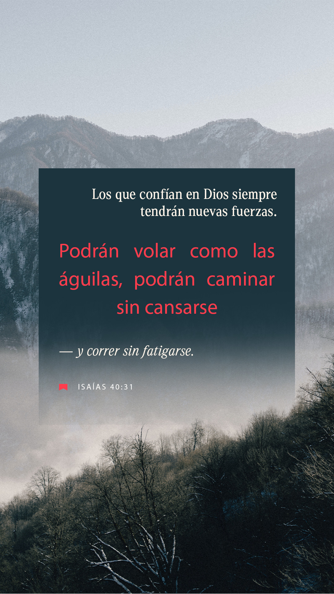 24 de agosto - Vertical