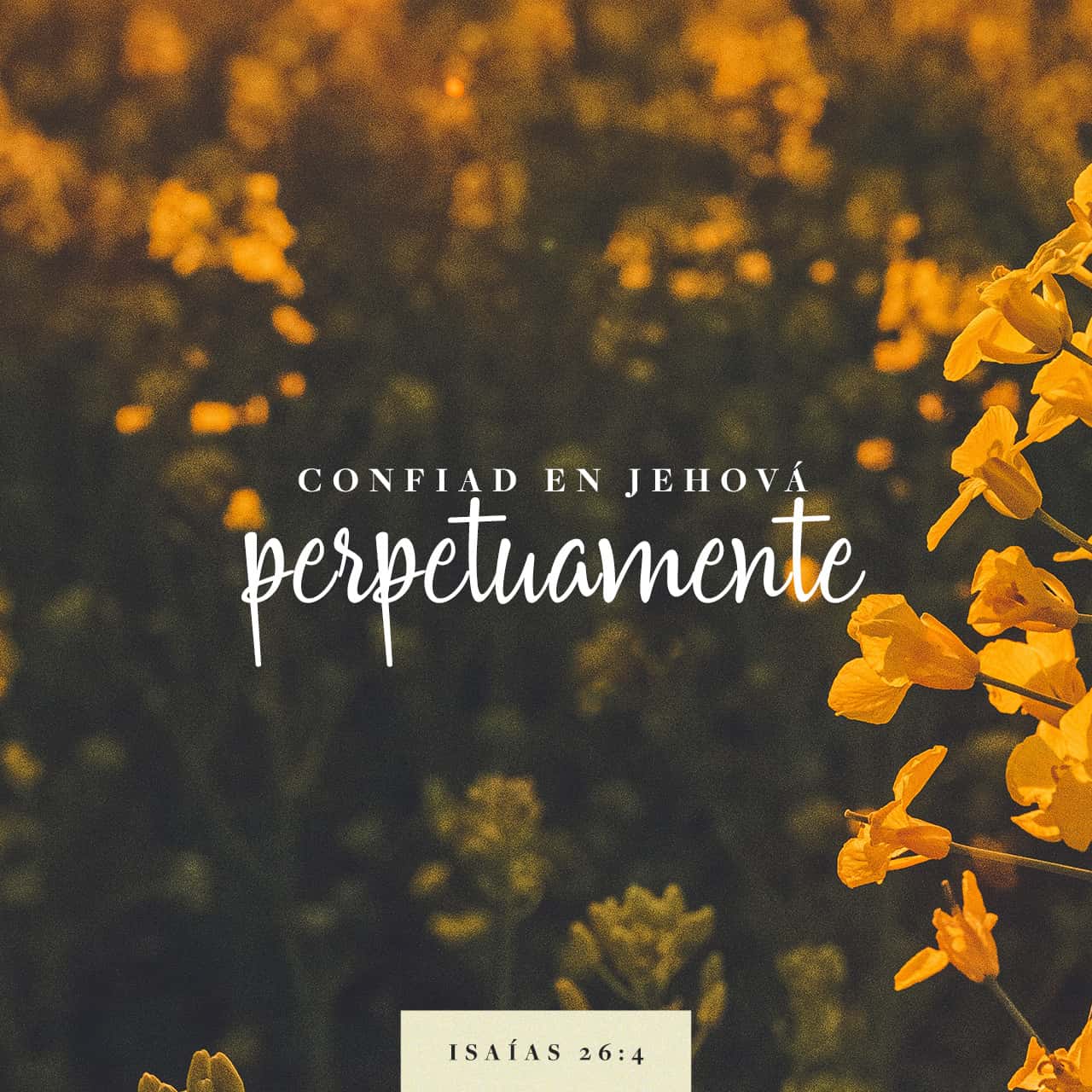 26 de agosto - Plaza