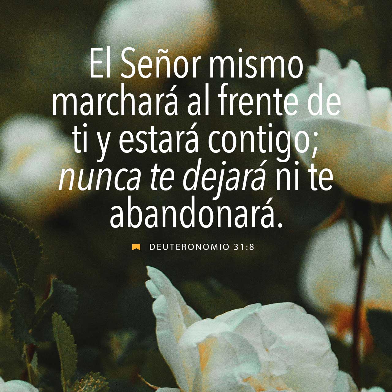 27 de agosto - Plaza