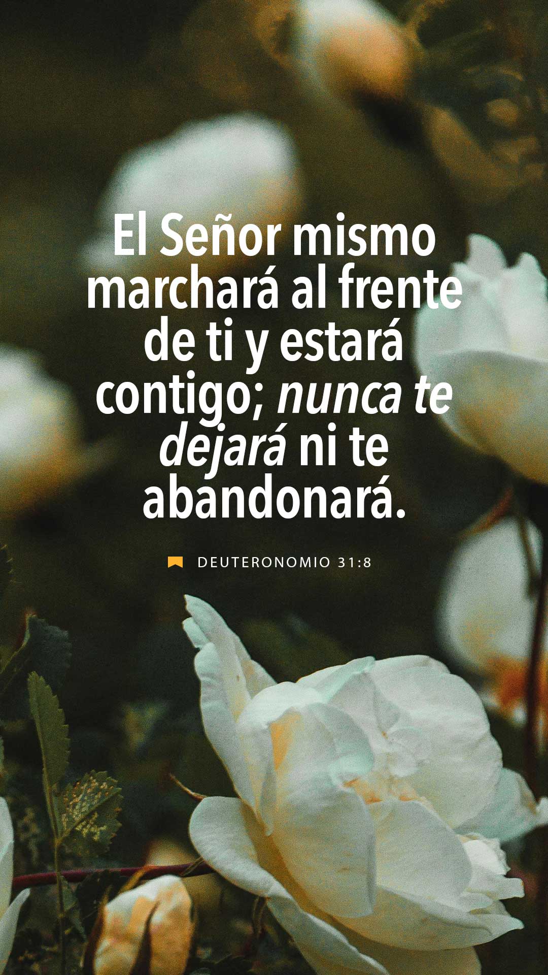 27 de agosto - Vertical