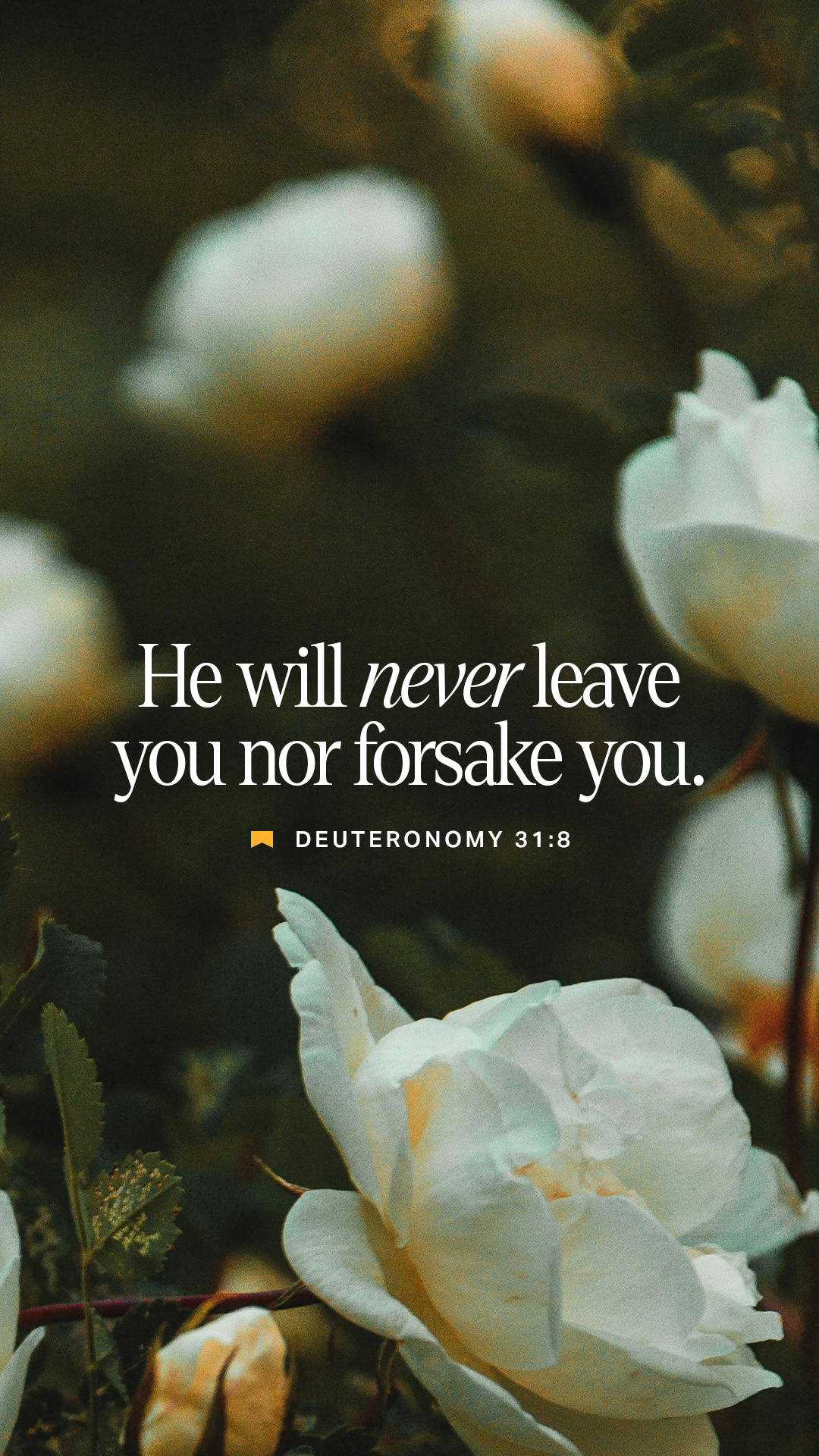 August 27 - Vertical