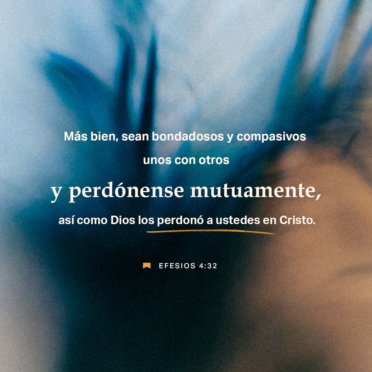 28 de agosto - Plaza