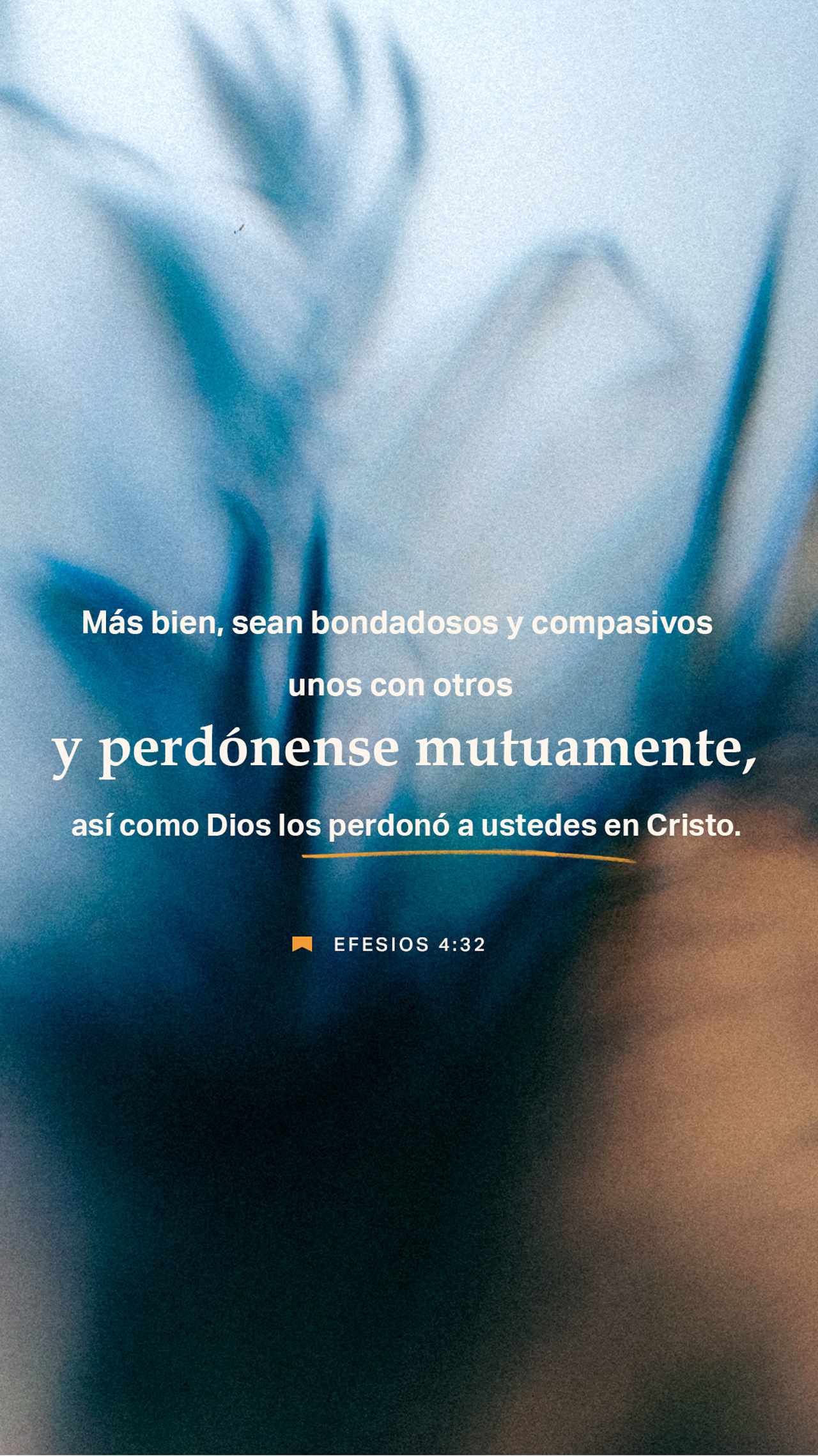 28 de agosto - Vertical