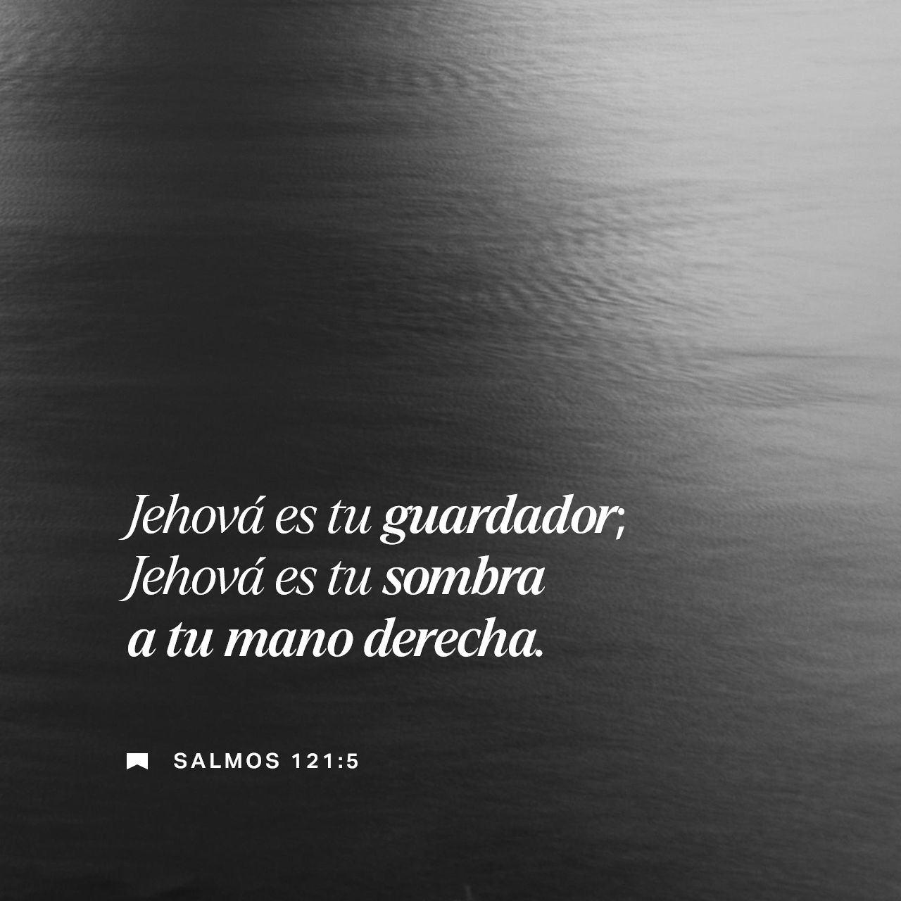 01 de diciembre - Plaza