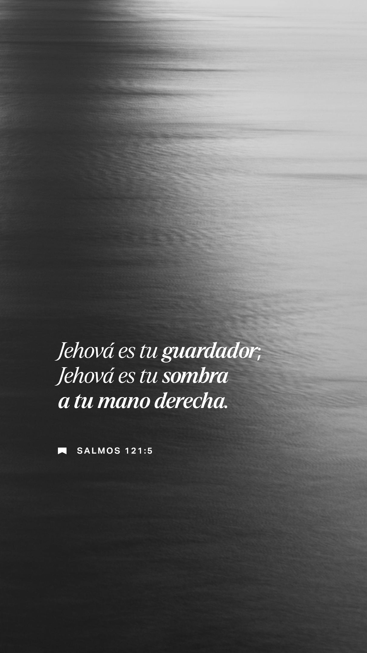 01 de diciembre - Vertical