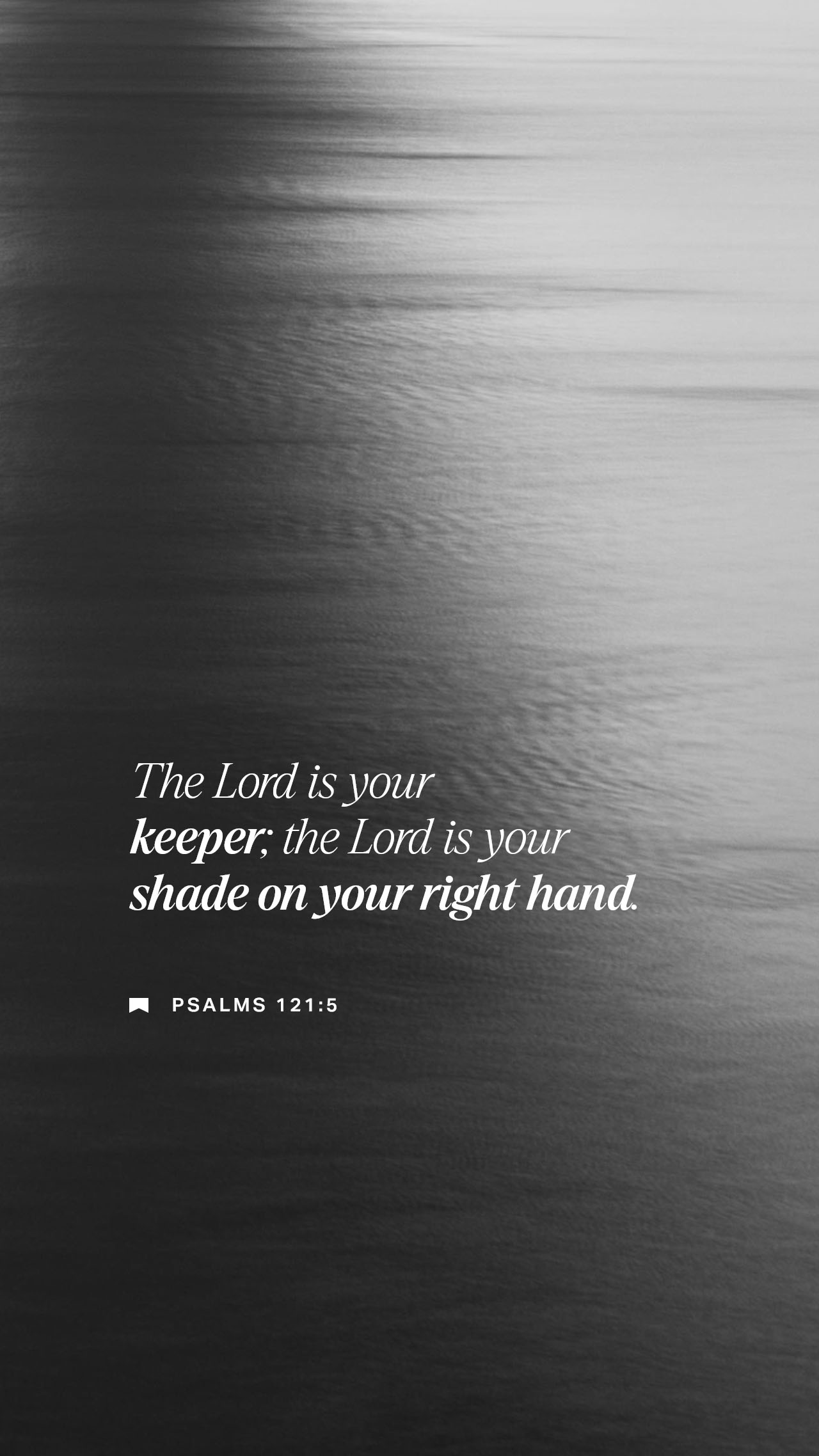 December 01 - Vertical