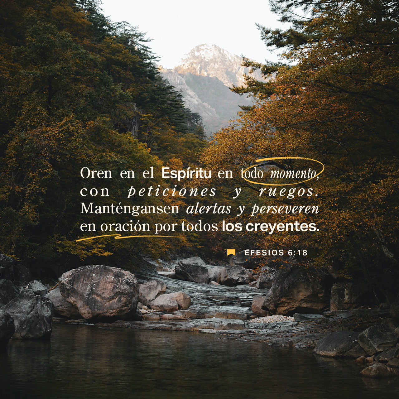 03 de diciembre - Plaza