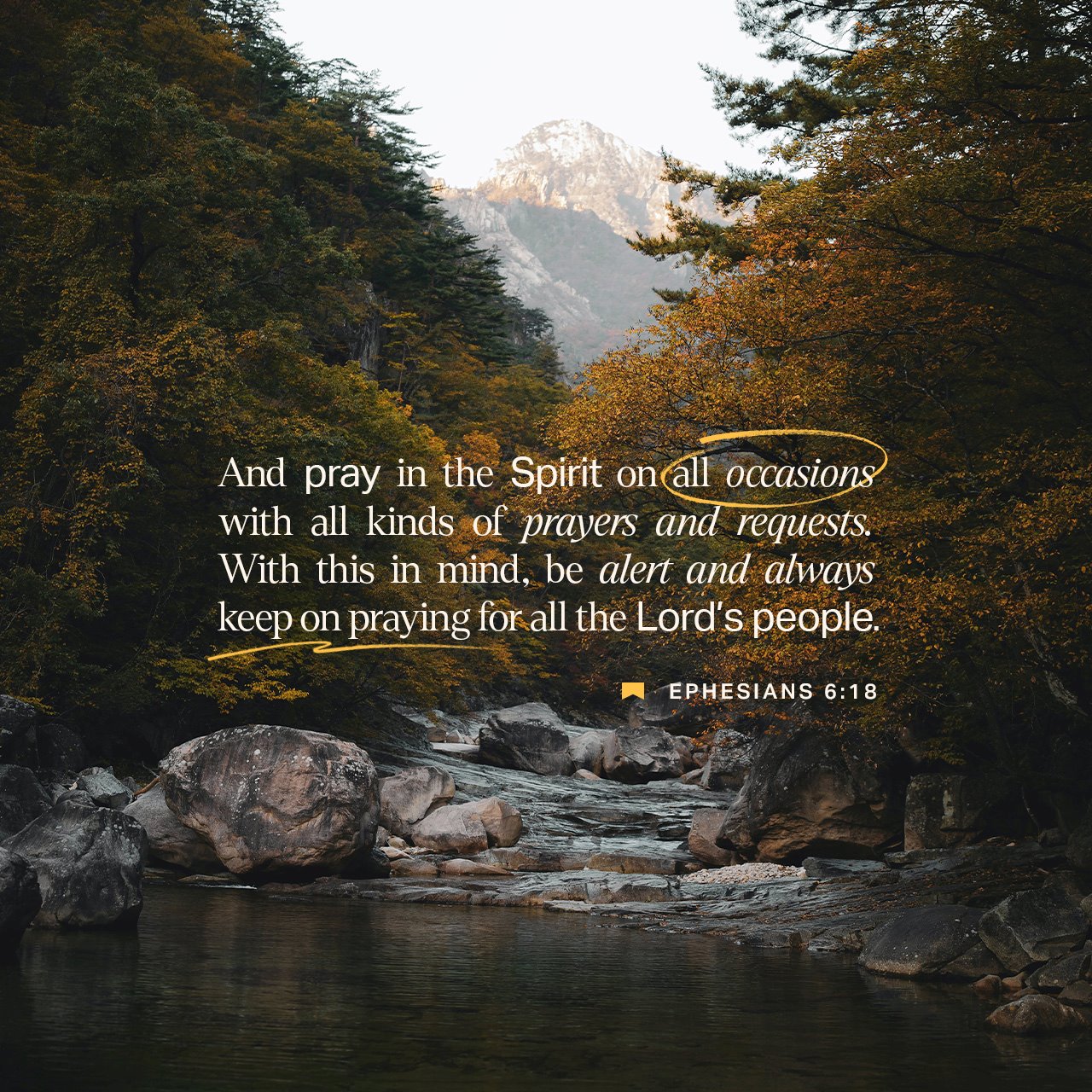 December 03 - Square