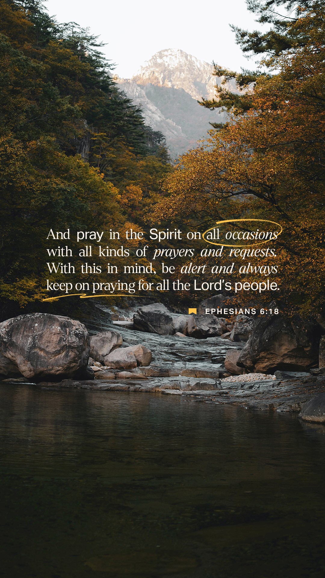 December 03 - Vertical