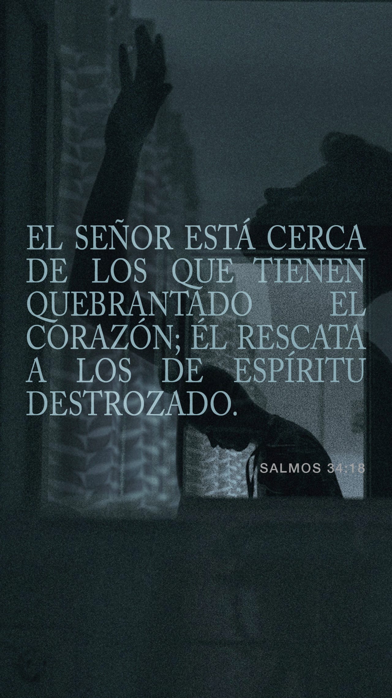 06 de diciembre - Vertical