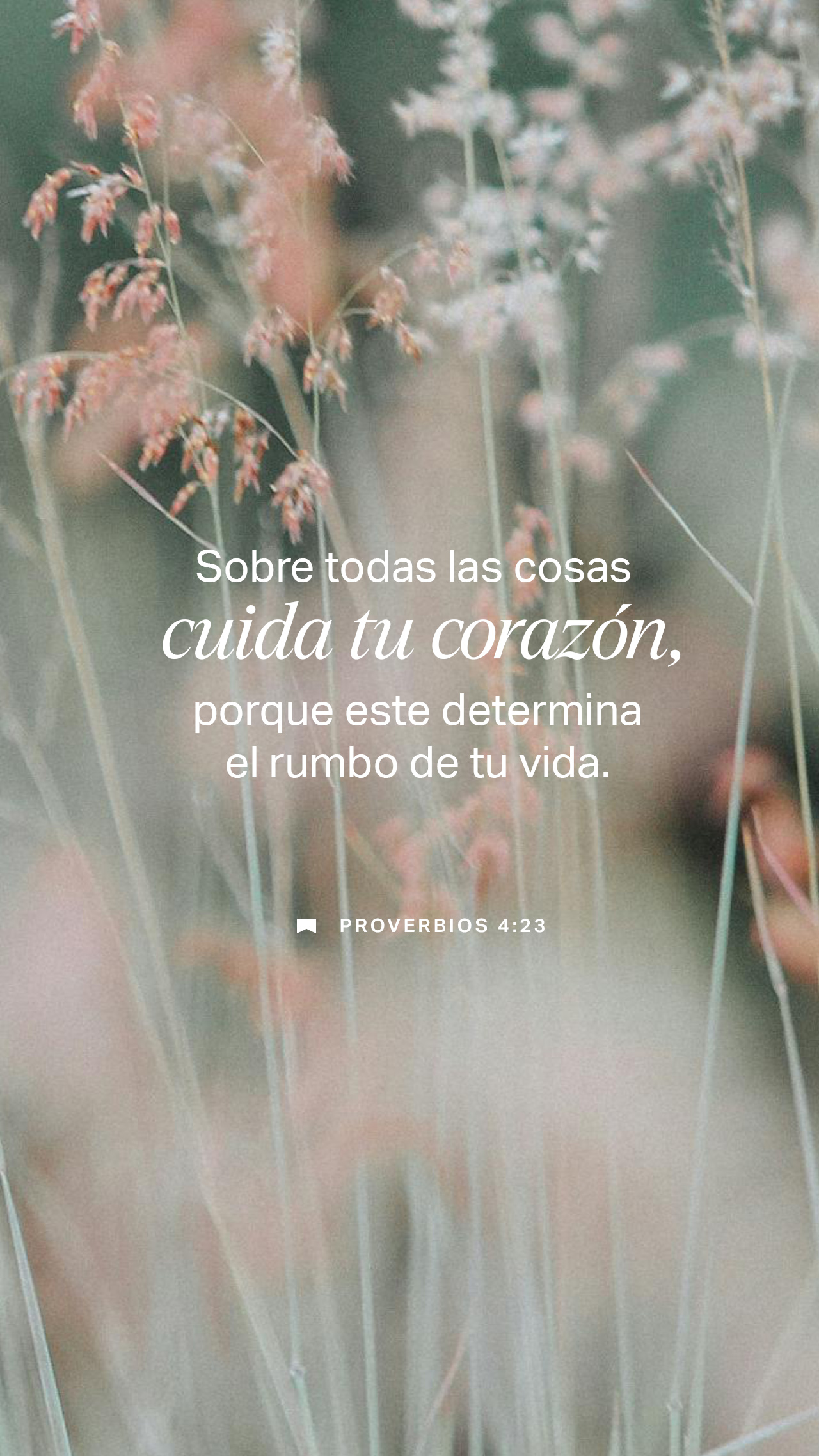 08 de diciembre - Vertical