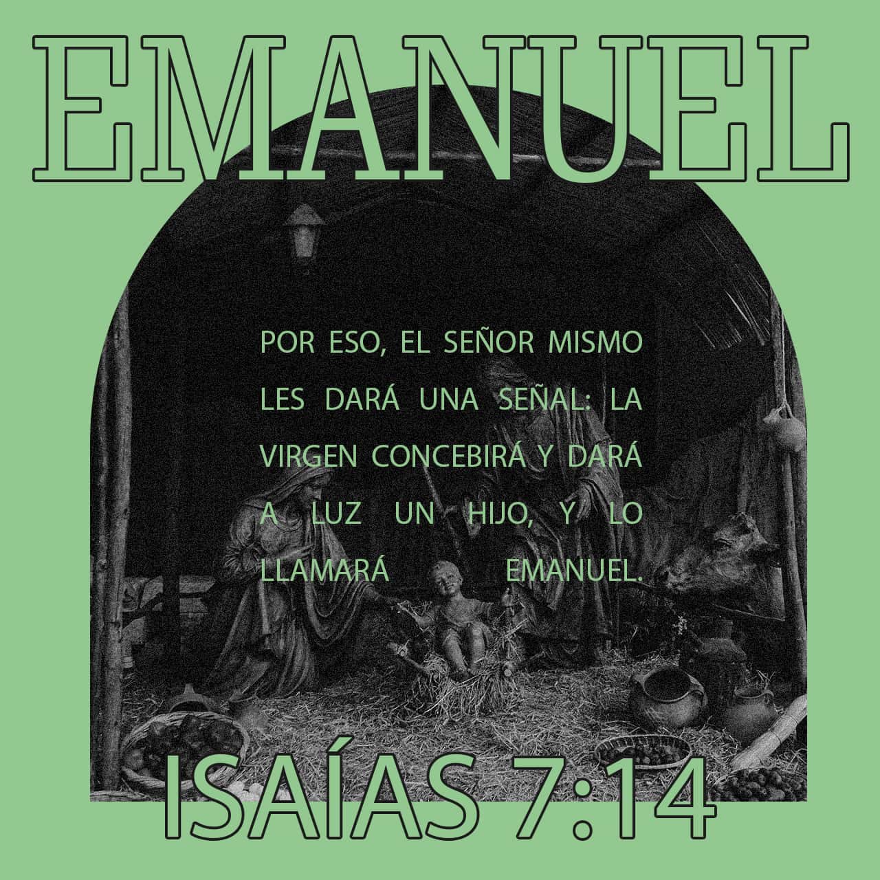 10 de diciembre - Plaza