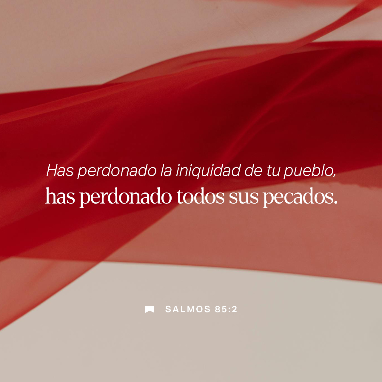 11 de diciembre - Plaza