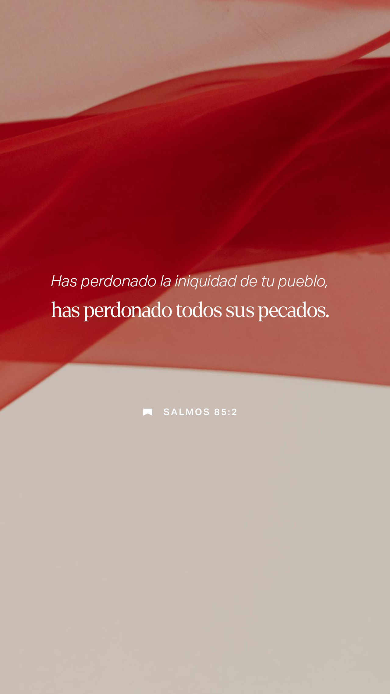 11 de diciembre - Vertical