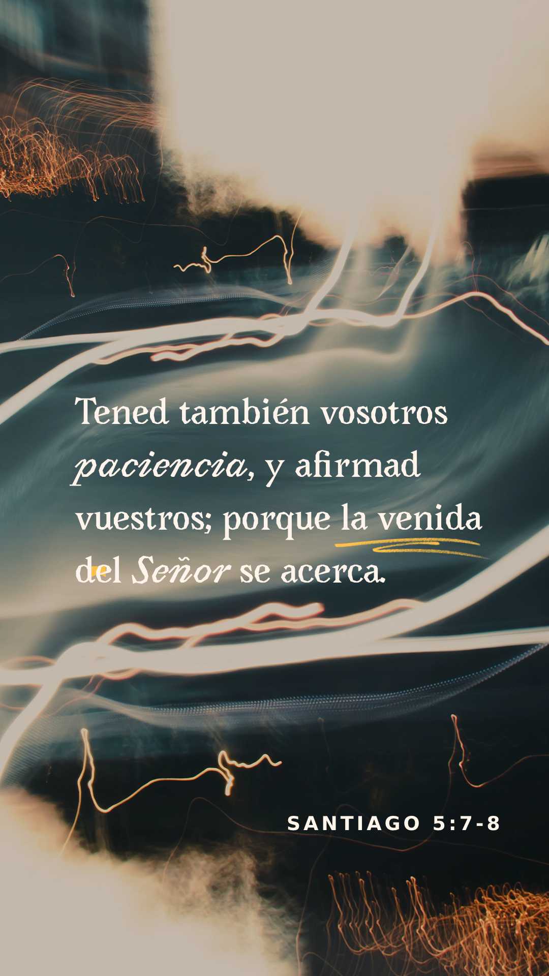 14 de diciembre - Vertical