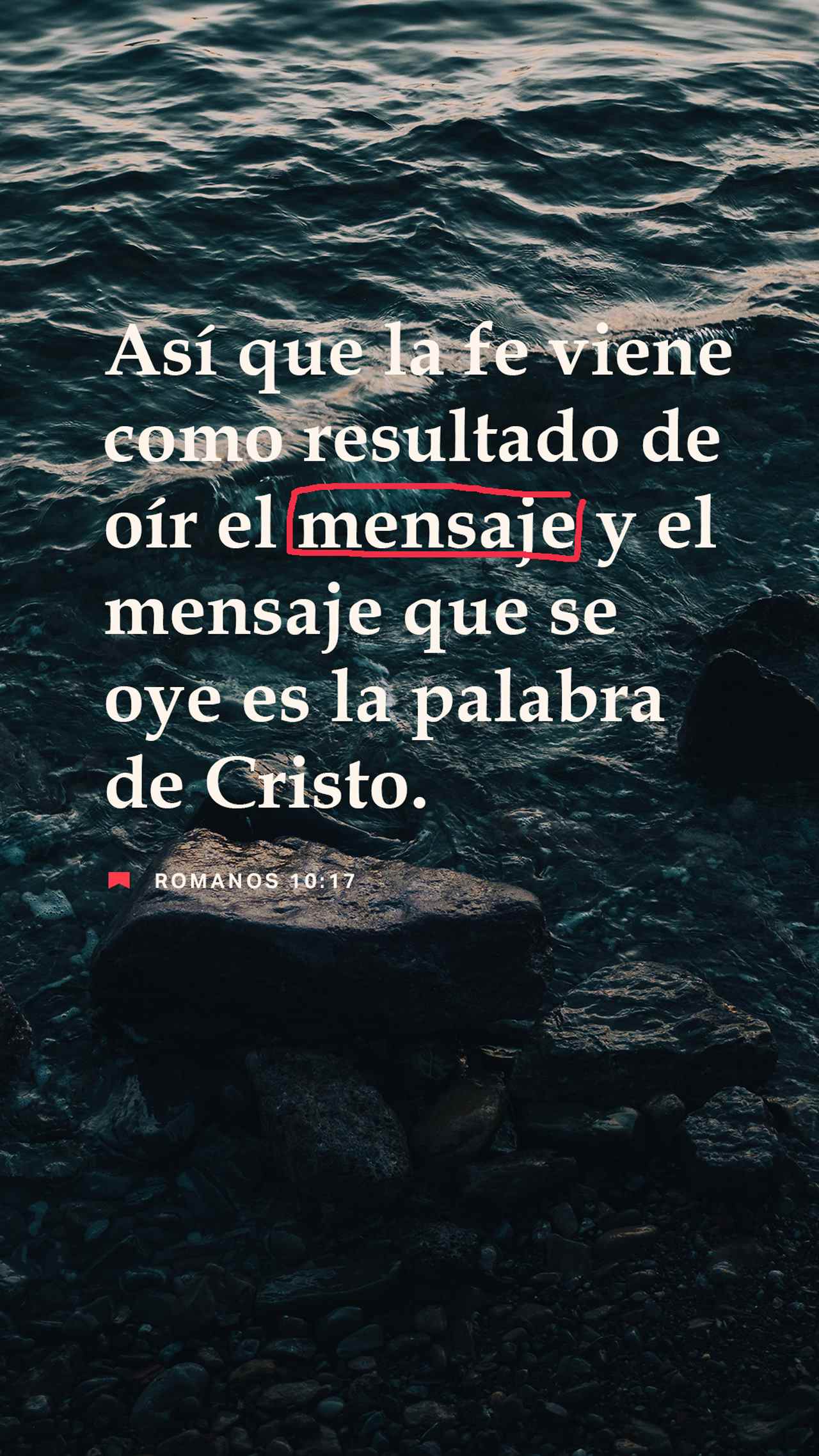 15 de diciembre - Vertical