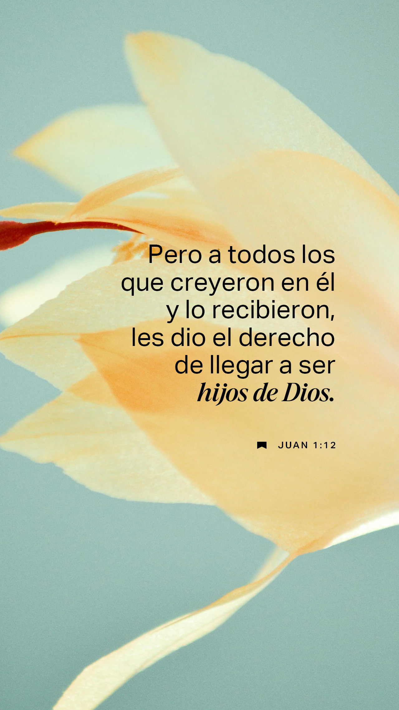 16 de diciembre - Vertical