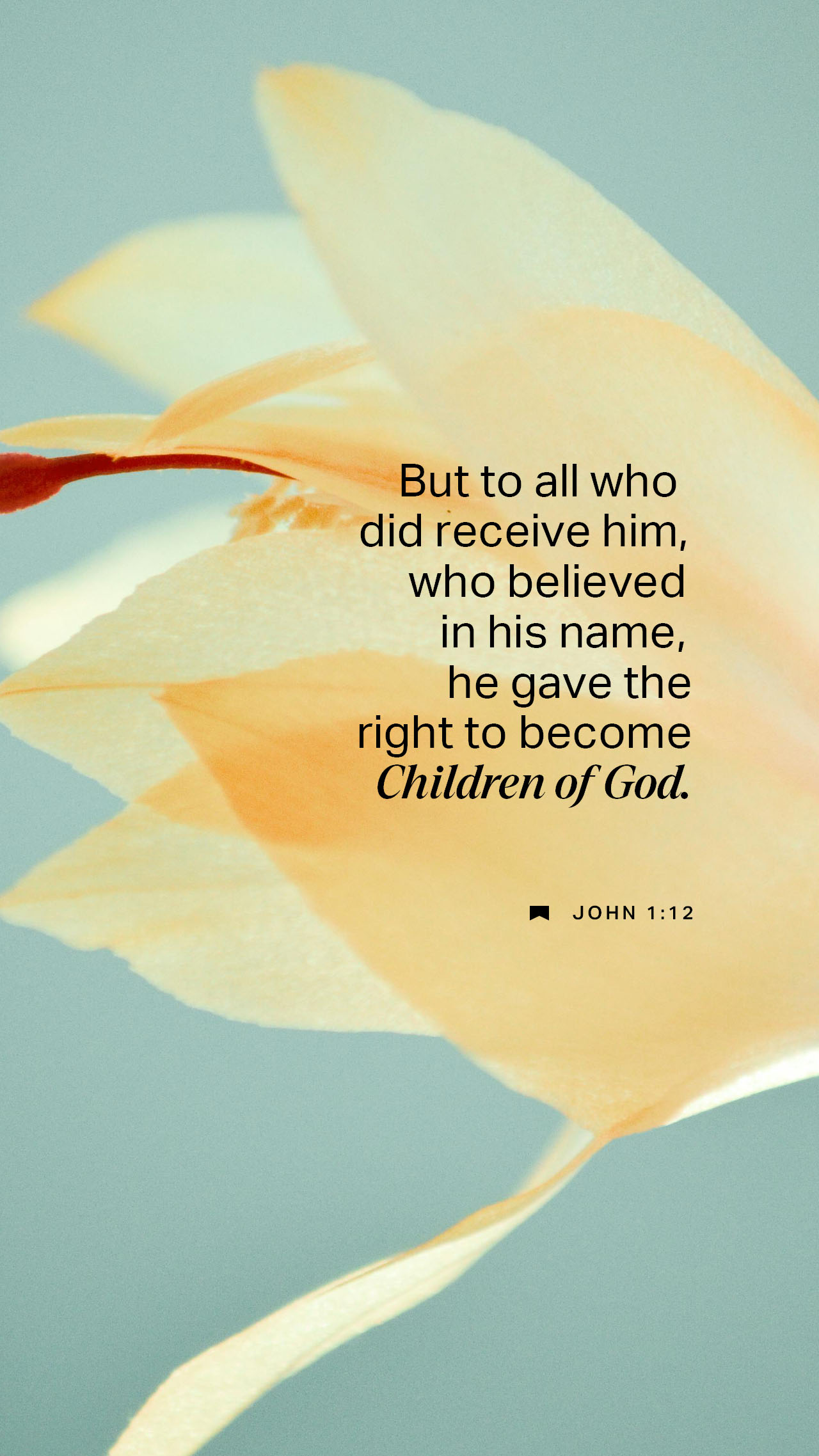 December 16 - Vertical