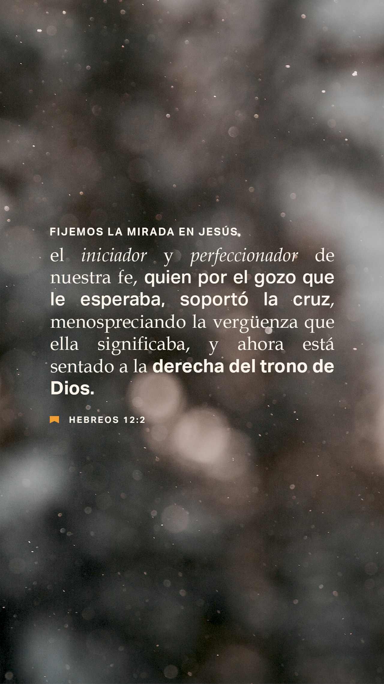 18 de diciembre - Vertical