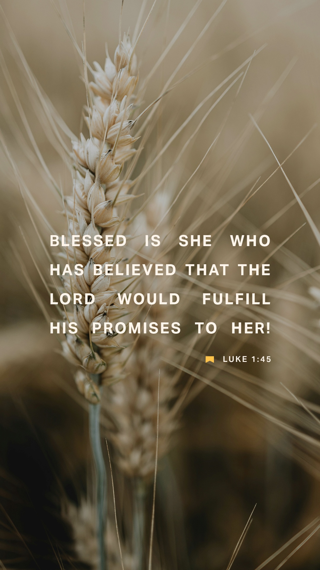 December 20 - Vertical